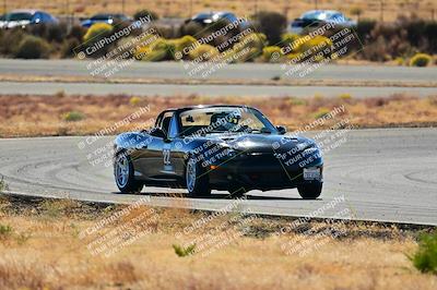 media/Nov-16-2024-Extreme Speed (Sat) [[6587d07cc4]]/Gold Group/Session 2 (Turns 3 and 5)/